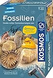 KOSMOS 657918 Fossilien Ausgrabungs-Set, Grabe echte Versteinerungen und Bernstein selbst aus, mit Hammer und Meißel, Experimentierset für Kinder ab 7 Jahre