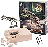 Dinosaurier Fossil archäologische Ausgrabung，Dinosaurier Spielzeug ，Spielzeug ab 6 Jahre Jungen (Tyrannosaurus)