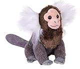 Wild Republic Rainforest Gewöhnlicher Totenkopfaffe, Plüschtier, 15 cm, Plüschspielzeug, Füllung aus recycelten Wasserflaschen