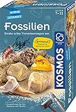 KOSMOS 657918 Fossilien Ausgrabungs-Set, Grabe echte Versteinerungen und Bernstein selbst aus, mit Hammer und Meißel, Experimentierset für Kinder ab 7 Jahre