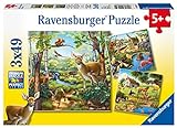 3 Puzzle für 5-jährige Kinder: Waldtiere, Zootiere und Haustiere