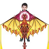 Mint's Colorful Life Drachen Drache für Kinder Erwachsene, einleiner flugdrachen Bester Groß Beach Drachen, 100m Drachenschnur inklusive