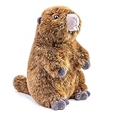 lilizzhoumax Murmeltier Plüsch Kuscheltier 25cm/10Zoll Kawaii Niedlich Realistische Spielzeug Wilde Tiere Ostern Geschenk für Kinder Jungen Mädchen braun Alter 4 5 6 7 8
